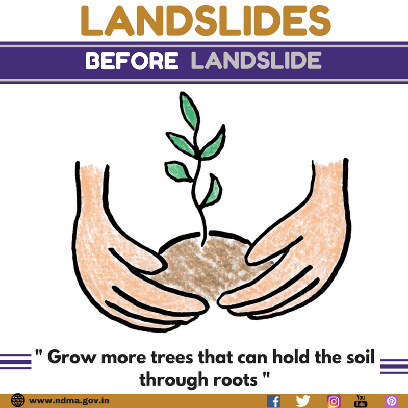 Grow more trees that can hold the soil through roots 